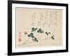 Raspberries-Saigyo-Framed Giclee Print