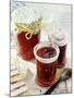 Raspberry and Red Berry Jam-Giorgio Scarlini-Mounted Photographic Print