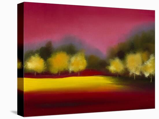 Raspberry Contemplation-Bonita Williams Goldberg-Stretched Canvas