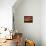 Raspberry Contemplation-Bonita Williams Goldberg-Framed Stretched Canvas displayed on a wall