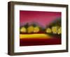 Raspberry Contemplation-Bonita Williams Goldberg-Framed Giclee Print