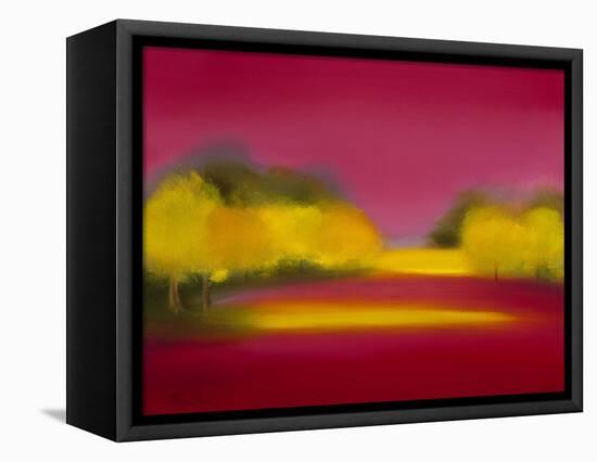Raspberry Fantasy-Bonita Williams Goldberg-Framed Stretched Canvas