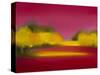 Raspberry Fantasy-Bonita Williams Goldberg-Stretched Canvas