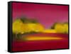 Raspberry Fantasy-Bonita Williams Goldberg-Framed Stretched Canvas