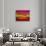 Raspberry Fantasy-Bonita Williams Goldberg-Stretched Canvas displayed on a wall