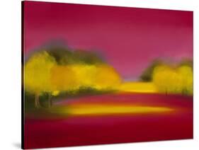 Raspberry Fantasy-Bonita Williams Goldberg-Stretched Canvas