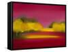 Raspberry Fantasy-Bonita Williams Goldberg-Framed Stretched Canvas