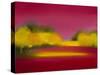 Raspberry Fantasy-Bonita Williams Goldberg-Stretched Canvas