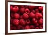 Raspberry Fruit Background-SJ Travel Photo and Video-Framed Photographic Print