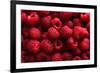 Raspberry Fruit Background-SJ Travel Photo and Video-Framed Photographic Print