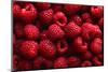 Raspberry Fruit Background-SJ Travel Photo and Video-Mounted Photographic Print