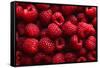 Raspberry Fruit Background-SJ Travel Photo and Video-Framed Stretched Canvas