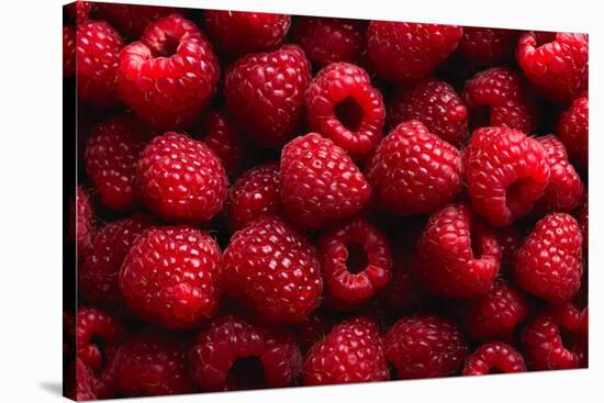 Raspberry Fruit Background-SJ Travel Photo and Video-Stretched Canvas