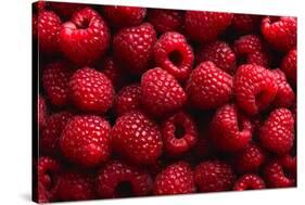 Raspberry Fruit Background-SJ Travel Photo and Video-Stretched Canvas