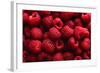 Raspberry Fruit Background-SJ Travel Photo and Video-Framed Photographic Print