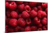 Raspberry Fruit Background-SJ Travel Photo and Video-Mounted Photographic Print