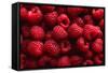 Raspberry Fruit Background-SJ Travel Photo and Video-Framed Stretched Canvas