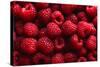 Raspberry Fruit Background-SJ Travel Photo and Video-Stretched Canvas