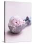 Raspberry Ice Cream in an Ice Cream Scoop-Sam Stowell-Stretched Canvas