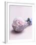 Raspberry Ice Cream in an Ice Cream Scoop-Sam Stowell-Framed Photographic Print