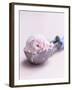 Raspberry Ice Cream in an Ice Cream Scoop-Sam Stowell-Framed Photographic Print