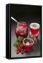 Raspberry Jam, Redcurrant Jelly, Redcurrants, Leaves-Foodcollection-Framed Stretched Canvas