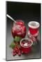 Raspberry Jam, Redcurrant Jelly, Redcurrants, Leaves-Foodcollection-Mounted Photographic Print