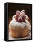 Raspberry Muffins with Icing Sugar-null-Framed Stretched Canvas