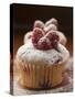 Raspberry Muffins with Icing Sugar-null-Stretched Canvas