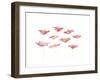 Raspberry Notes-Sarah Von Dreele-Framed Giclee Print