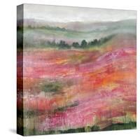 Raspberry Rolling Hills-Rikki Drotar-Stretched Canvas