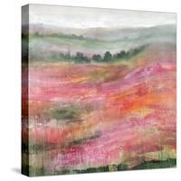 Raspberry Rolling Hills-Rikki Drotar-Stretched Canvas