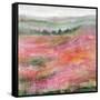 Raspberry Rolling Hills-Rikki Drotar-Framed Stretched Canvas