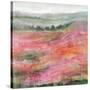 Raspberry Rolling Hills-Rikki Drotar-Stretched Canvas