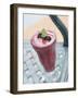 Raspberry Shake-John T^ Wong-Framed Photographic Print