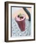 Raspberry Shake-John T^ Wong-Framed Photographic Print