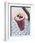 Raspberry Shake-John T^ Wong-Framed Photographic Print