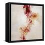 Raspberry Stones-Kari Taylor-Framed Stretched Canvas