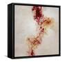 Raspberry Stones-Kari Taylor-Framed Stretched Canvas