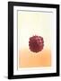 Raspberry-Hank Laventhol-Framed Limited Edition