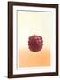 Raspberry-Hank Laventhol-Framed Limited Edition