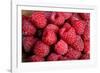 Raspberry-null-Framed Photographic Print