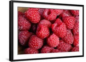 Raspberry-null-Framed Photographic Print