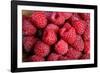 Raspberry-null-Framed Photographic Print