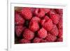 Raspberry-null-Framed Photographic Print