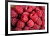 Raspberry-null-Framed Photographic Print