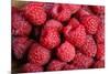 Raspberry-null-Mounted Photographic Print