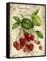 Raspberry-Kate Ward Thacker-Framed Stretched Canvas