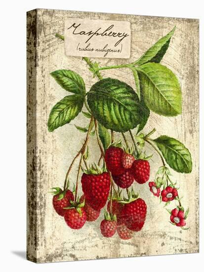 Raspberry-Kate Ward Thacker-Stretched Canvas