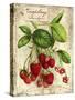 Raspberry-Kate Ward Thacker-Stretched Canvas